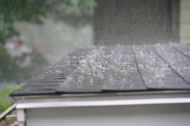 Best Solar Panel Roofing Installation  in Sisseton, SD